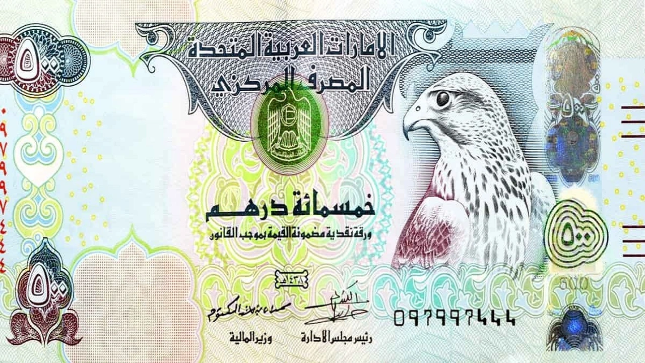 سعر صرف الدرهم الإماراتي مقابل الجنيه المصري يتأرجح اليوم في الأسواق
